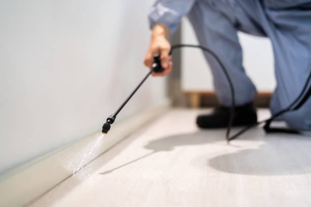 Licensed Fumigation Services service in Kinney County County, TX - Nex Pest Control